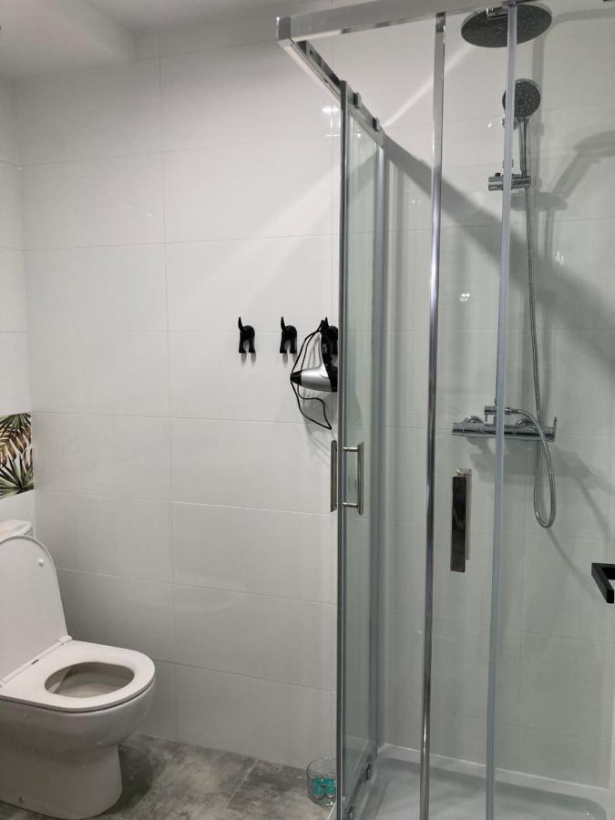Apartament Swobodna No.2 Sosnowiec Zewnętrze zdjęcie
